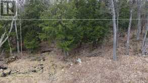 4 WEE GEE WA ROAD | Seguin Ontario | Slide Image Eighteen