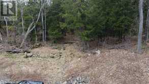 4 WEE GEE WA ROAD | Seguin Ontario | Slide Image Nineteen
