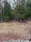 4 WEE GEE WA ROAD | Seguin Ontario | Slide Image Twenty