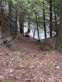 4 WEE GEE WA ROAD | Seguin Ontario | Slide Image Thirty