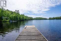 652 NORTH WASEOSA LAKE ROAD | Huntsville Ontario | Slide Image Forty