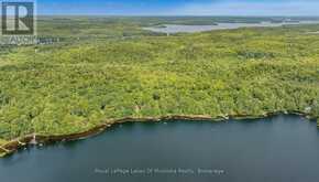1063 DICKIE LAKE ROAD | Baysville Ontario | Slide Image Thirty