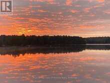 1063 DICKIE LAKE ROAD | Baysville Ontario | Slide Image Three