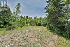 3186 COUNTY ROAD 121 ROAD | Kawartha Lakes Ontario | Slide Image Thirty-nine