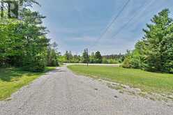 3186 COUNTY ROAD 121 ROAD | Kawartha Lakes Ontario | Slide Image Six