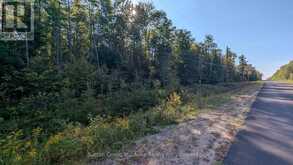 PART 3 BERRIEDALE ROAD | Magnetawan Ontario | Slide Image Two