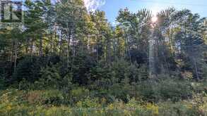 PART 3 BERRIEDALE ROAD | Magnetawan Ontario | Slide Image Four