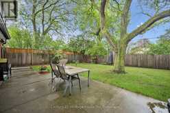 146 CORNELL AVENUE | Kitchener Ontario | Slide Image Thirty-eight