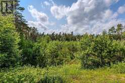 679 BOULDER ROAD | Parry Sound Ontario | Slide Image Thirty-six