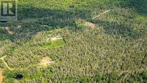 679 BOULDER ROAD | Parry Sound Ontario | Slide Image Forty