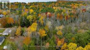 PT LT 18 CONCESSION 13 W | Tiny Ontario | Slide Image Eleven