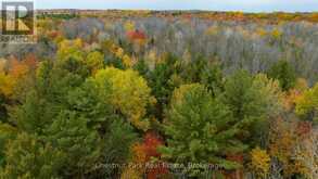 PT LT 18 CONCESSION 13 W | Tiny Ontario | Slide Image Fifteen