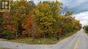 PT LT 18 CONCESSION 13 W | Tiny Ontario | Slide Image Sixteen