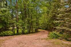 143 ST MORITZ CRESCENT | The Blue Mountains Ontario | Slide Image Forty-two