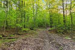 PART LOT 20 CONCESSION ROAD 14 CONCESSION | Shallow Lake Ontario | Slide Image Fifteen