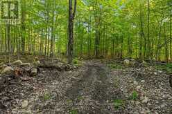 PART LOT 20 CONCESSION ROAD 14 CONCESSION | Shallow Lake Ontario | Slide Image Seventeen