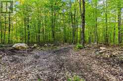 PART LOT 20 CONCESSION ROAD 14 CONCESSION | Shallow Lake Ontario | Slide Image Twenty-two