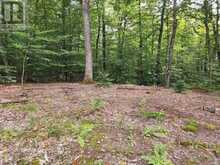 3480 BRUNEL ROAD | Huntsville Ontario | Slide Image Ten