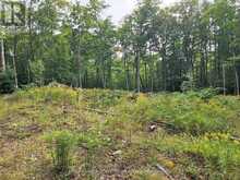 3480 BRUNEL ROAD | Huntsville Ontario | Slide Image Thirteen