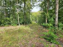 3480 BRUNEL ROAD | Huntsville Ontario | Slide Image One