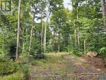 3480 BRUNEL ROAD | Huntsville Ontario | Slide Image Two