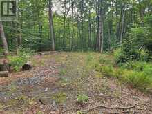 3480 BRUNEL ROAD | Huntsville Ontario | Slide Image Three