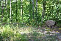 3480 BRUNEL ROAD | Huntsville Ontario | Slide Image Six
