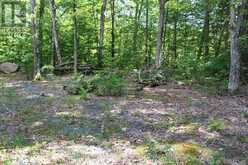 3480 BRUNEL ROAD | Huntsville Ontario | Slide Image Eight