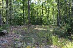 3480 BRUNEL ROAD | Huntsville Ontario | Slide Image Nine