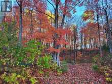 9842 HIGHWAY 35 | Minden Hills Ontario | Slide Image Eleven