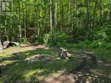 9842 HIGHWAY 35 | Minden Hills Ontario | Slide Image Thirty-two