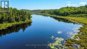 9842 HIGHWAY 35 | Minden Hills Ontario | Slide Image Eight