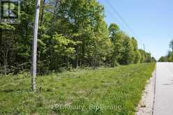 LOT 16 GREY ROAD 17 | Georgian Bluffs Ontario | Slide Image Eleven