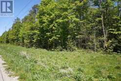 LOT 16 GREY ROAD 17 | Georgian Bluffs Ontario | Slide Image Thirteen