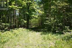 LOT 16 GREY ROAD 17 | Georgian Bluffs Ontario | Slide Image Sixteen