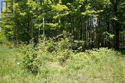 LOT 16 GREY ROAD 17 | Georgian Bluffs Ontario | Slide Image Seventeen