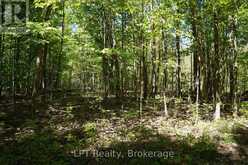 LOT 16 GREY ROAD 17 | Georgian Bluffs Ontario | Slide Image Nineteen
