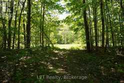 LOT 16 GREY ROAD 17 | Georgian Bluffs Ontario | Slide Image Twenty-three
