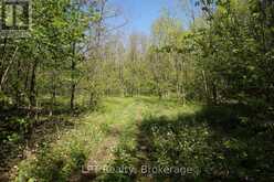 LOT 16 GREY ROAD 17 | Georgian Bluffs Ontario | Slide Image Six
