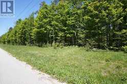 LOT 16 GREY ROAD 17 | Georgian Bluffs Ontario | Slide Image Nine