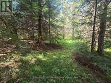 00 GIBBONS ROAD | Sundridge Ontario | Slide Image Thirteen