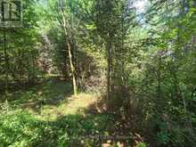 00 GIBBONS ROAD | Sundridge Ontario | Slide Image Sixteen