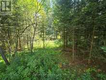 00 GIBBONS ROAD | Sundridge Ontario | Slide Image Seventeen
