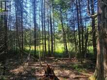 00 GIBBONS ROAD | Sundridge Ontario | Slide Image Nineteen