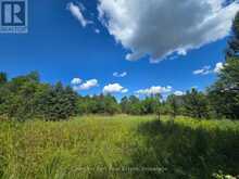 00 GIBBONS ROAD | Sundridge Ontario | Slide Image Eight