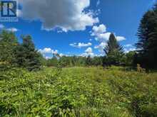 00 GIBBONS ROAD | Sundridge Ontario | Slide Image Nine