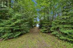 1363 ROSS LAKE ROAD | Haliburton Ontario | Slide Image Twenty-eight
