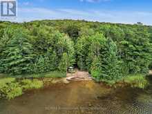 1363 ROSS LAKE ROAD | Haliburton Ontario | Slide Image Twenty-nine