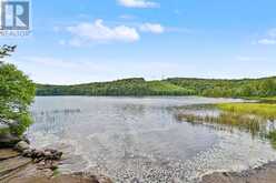 1363 ROSS LAKE ROAD | Haliburton Ontario | Slide Image Thirty-three
