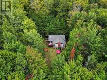 1363 ROSS LAKE ROAD | Haliburton Ontario | Slide Image Forty-three